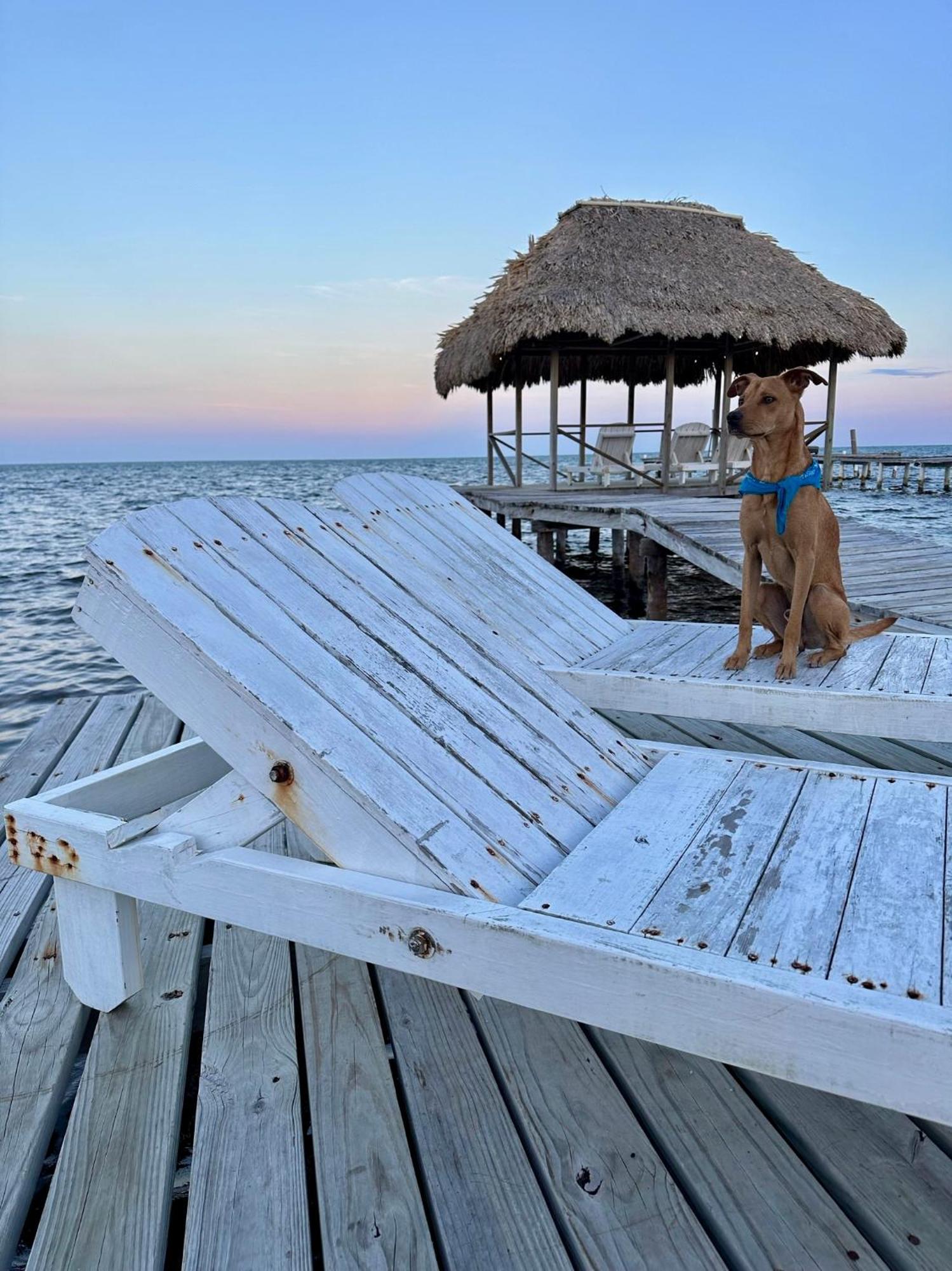 Barefoot Beach Belize Caye Caulker Buitenkant foto